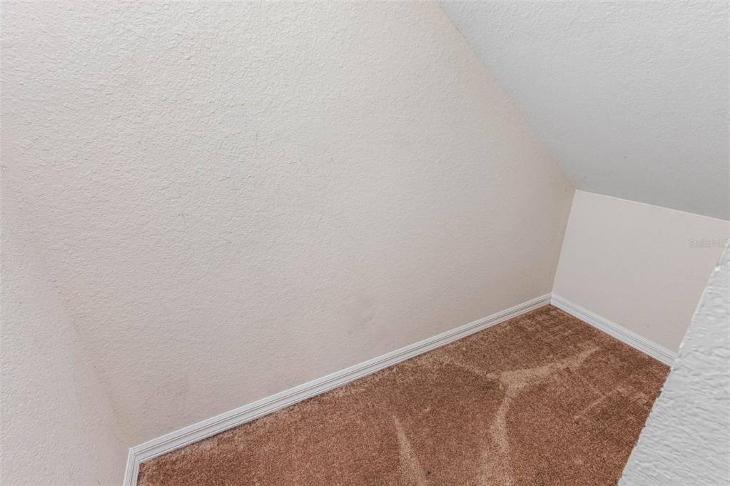 5101 Chipotle Lane Wesley Chapel, FL 33544 - Photo 32 of 59