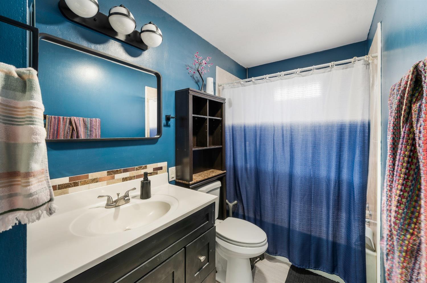 463 Eldon Road Appomattox, VA 24522 - Photo 13 of 32 a bathroom with a sink a toilet and a mirror