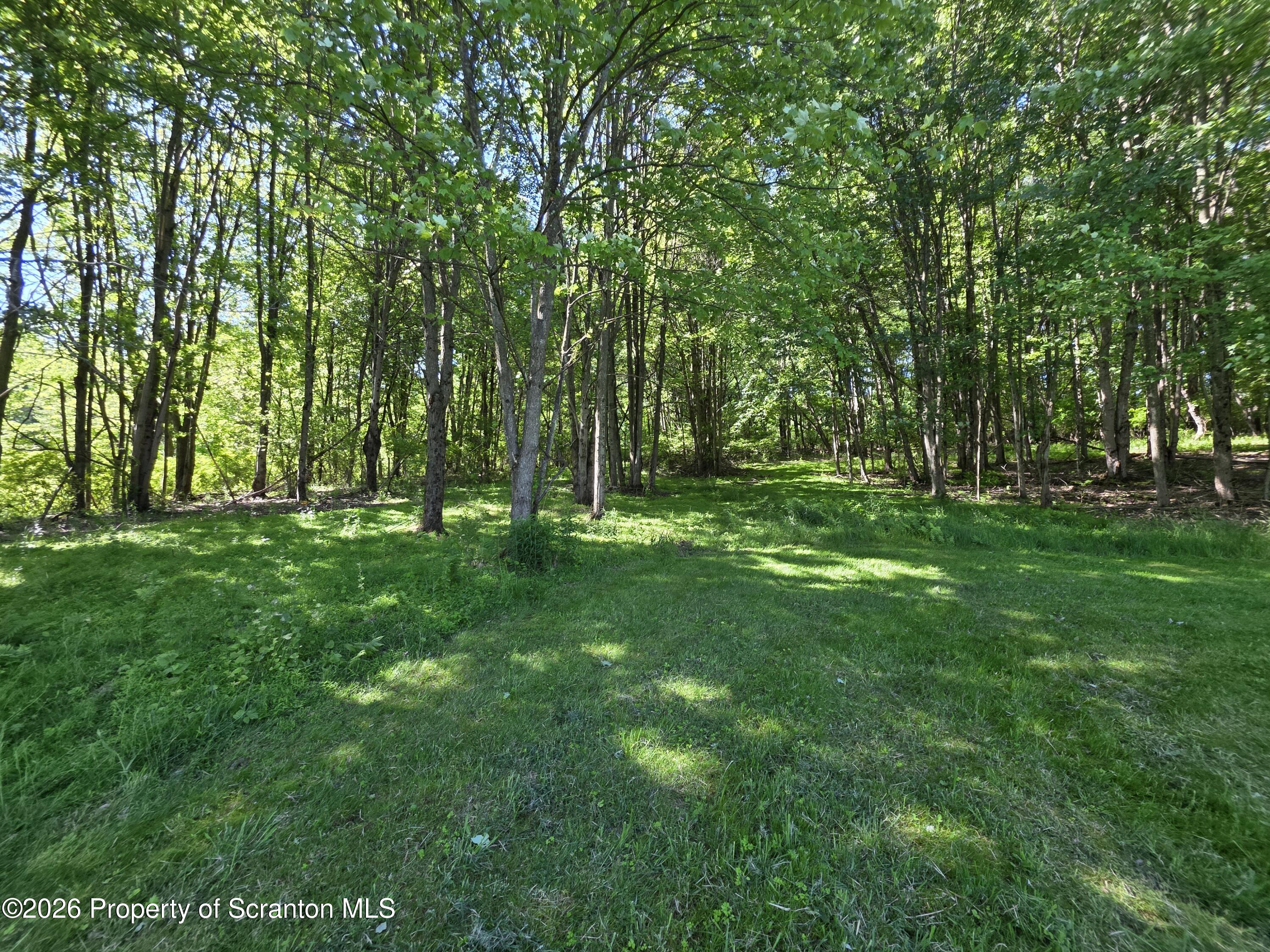 1333 Blue Berry Road Falls, PA 18615 - Photo 40 of 50 Wooded Acres