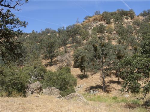 0 Jack Springs Road Tehachapi, CA 93561 - Photo 15 of 17 Gallery Image 15