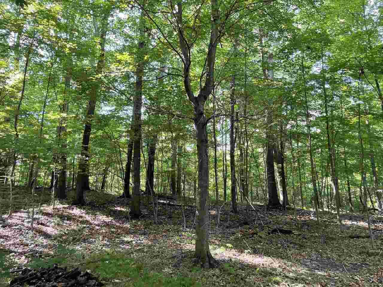 0 North P Drive Albion, MI 49224 - Photo 8 of 11