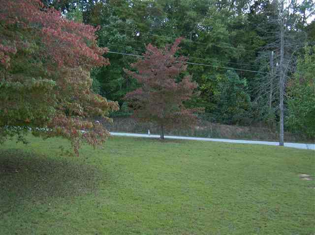 301 Bruce O Wilson Road Union, SC 29379 - Photo 18 of 24