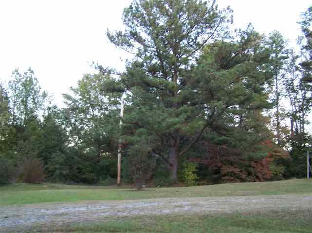 301 Bruce O Wilson Road Union, SC 29379 - Photo 22 of 24