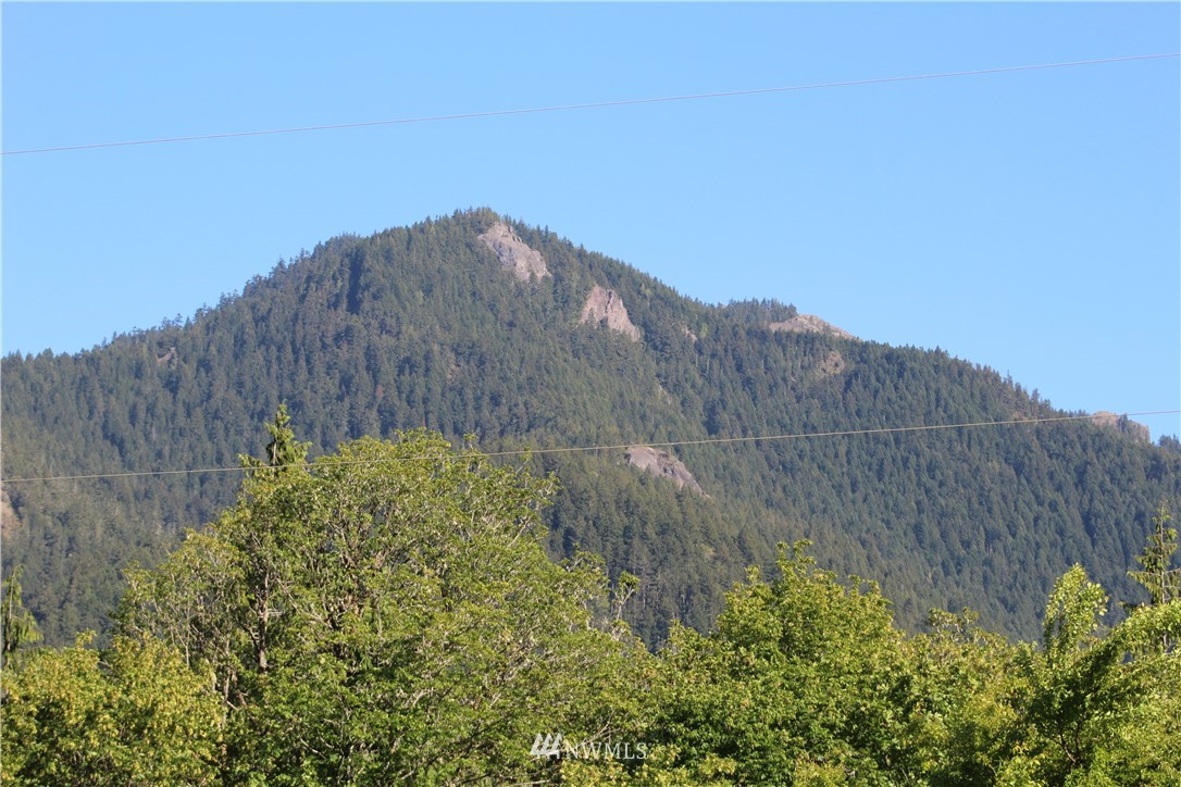 950 Herrick Road Port Angeles, WA 98363 - Photo 20 of 22 Gallery Image 20
