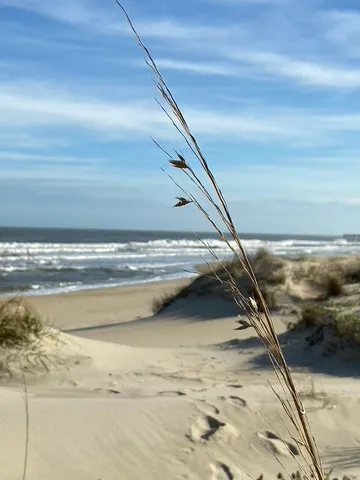 $545,000 | 23270 Midgetts Mobile Court, Rodanthe, NC 27968