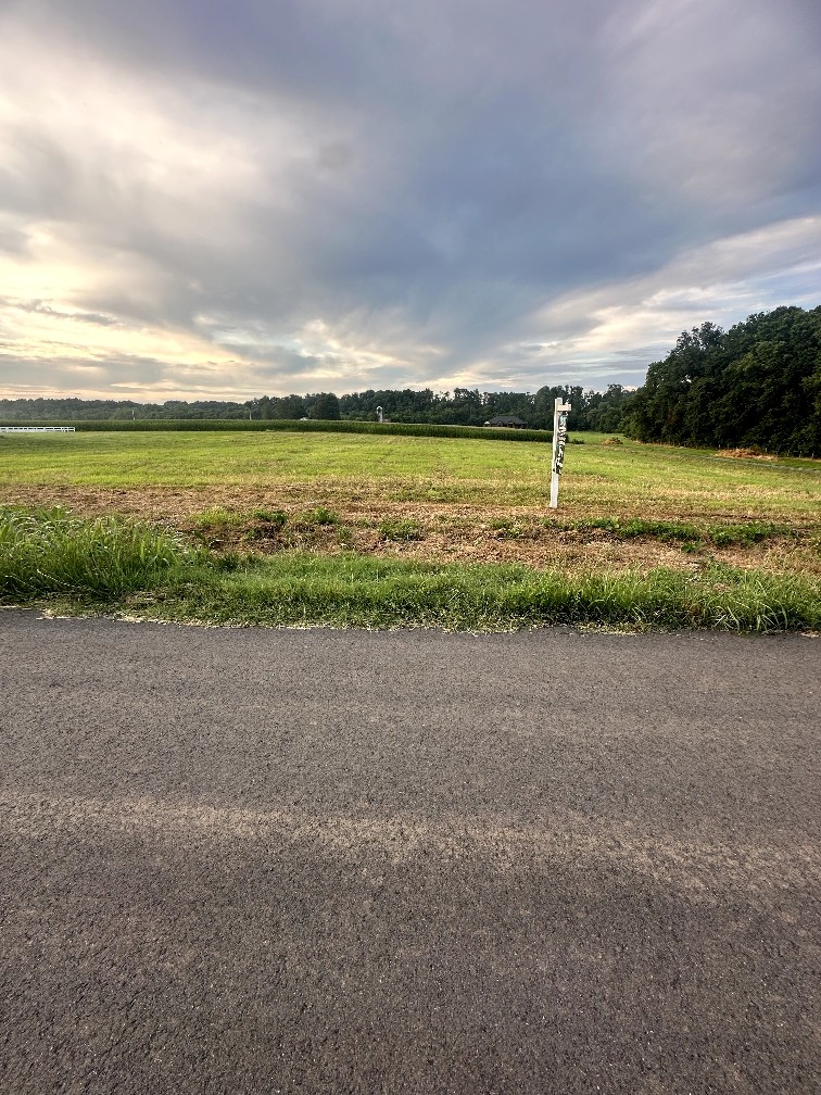 a view of a swimming pool and an outdoor seating
