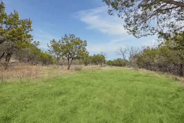 a view of a yard with a tree