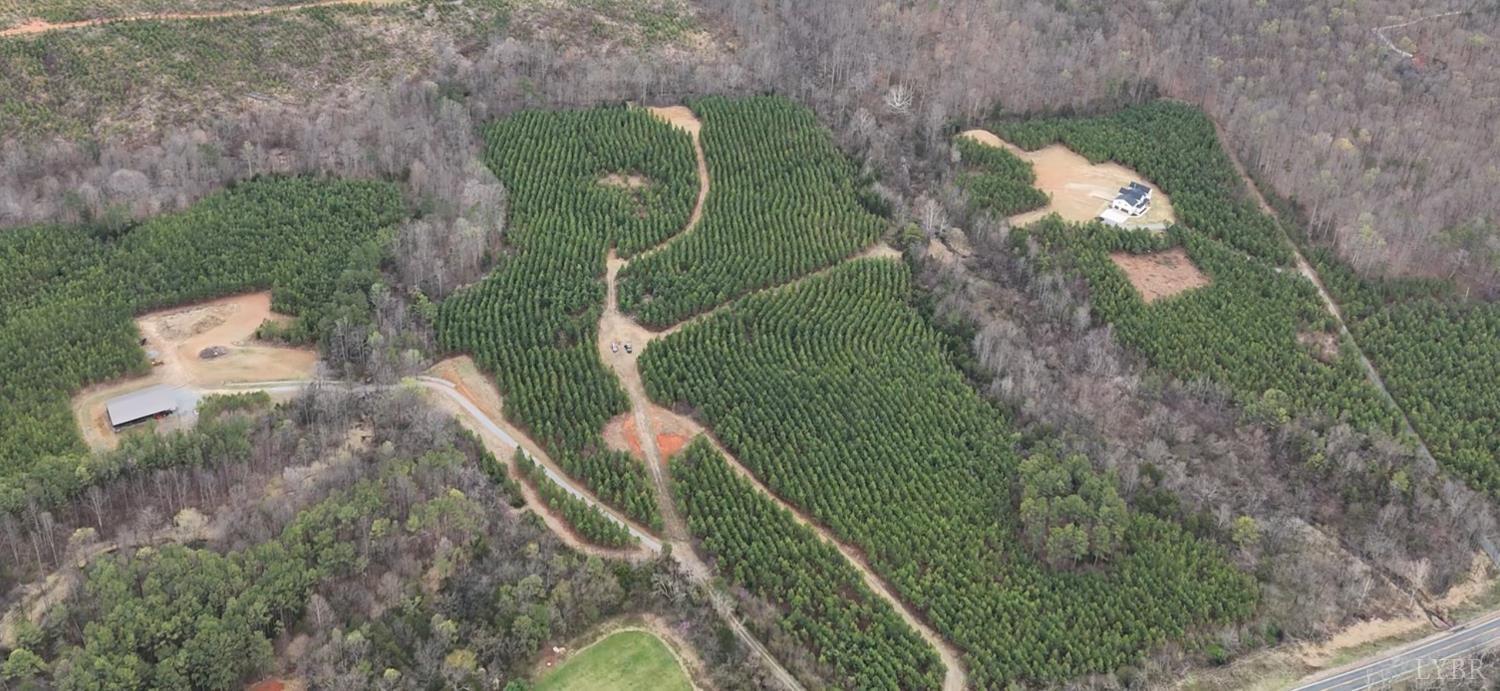 0 Old Courthouse Road Appomattox, VA 24522 - Photo 4 of 55 Gallery Image 4
