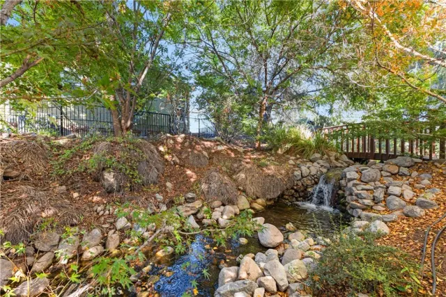 a view of a yard with plants and trees