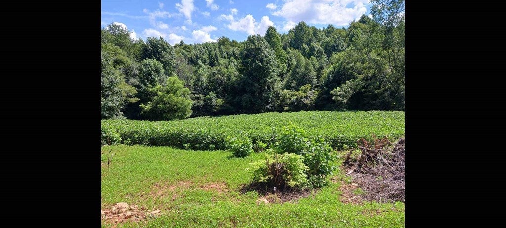 55-acres Greenberry Road Fancy Gap, VA 24328 - Photo 27 of 32 Gallery Image 27