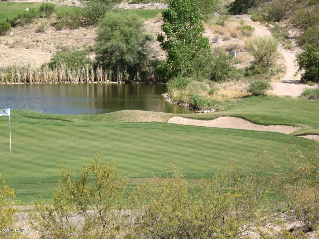 13684 East High Plains Ranch Street Vail, AZ 85641 - Photo 17 of 20
