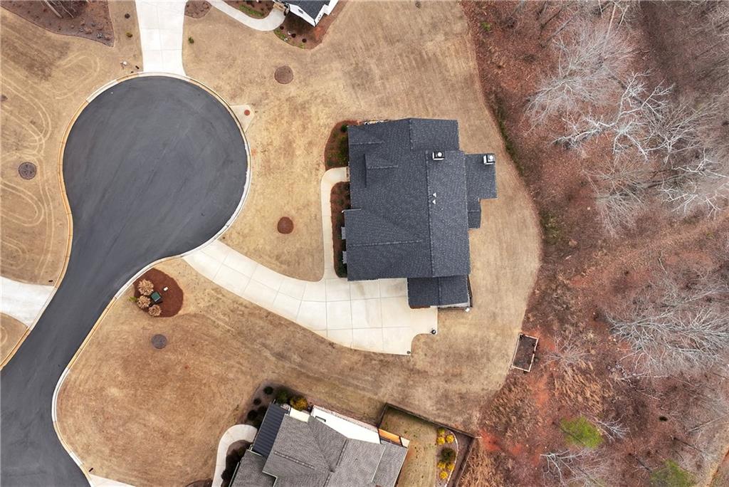 6140 Crescent Moon Ridge Cumming, GA 30041 - Photo 40 of 54 an aerial view of a fireplace with a large tree