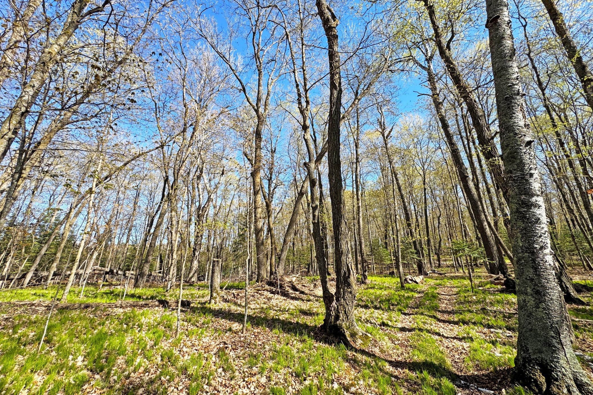 26810 North Hart Lake Road Pengilly, MN 55775 - Photo 55 of 67
