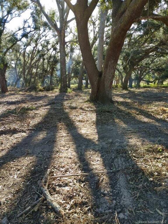 0 Bazile Daigle Road Lake Charles, LA 70607 - Photo 2 of 6