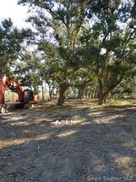 0 Bazile Daigle Road Lake Charles, LA 70607 - Photo 3 of 6