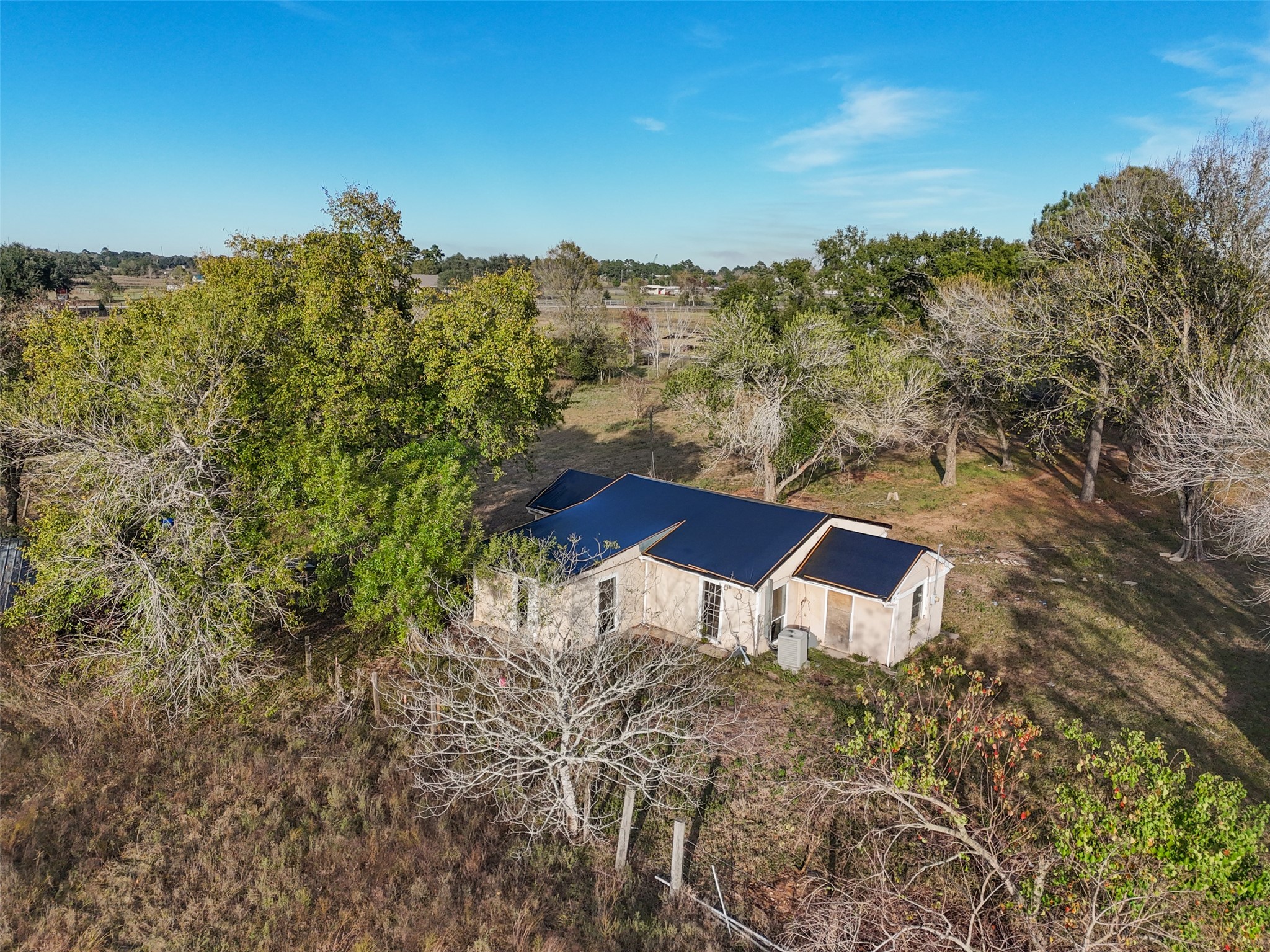 19703 Frey Road Pine Island, TX 77445 - Photo 12 of 18 a view of a yard