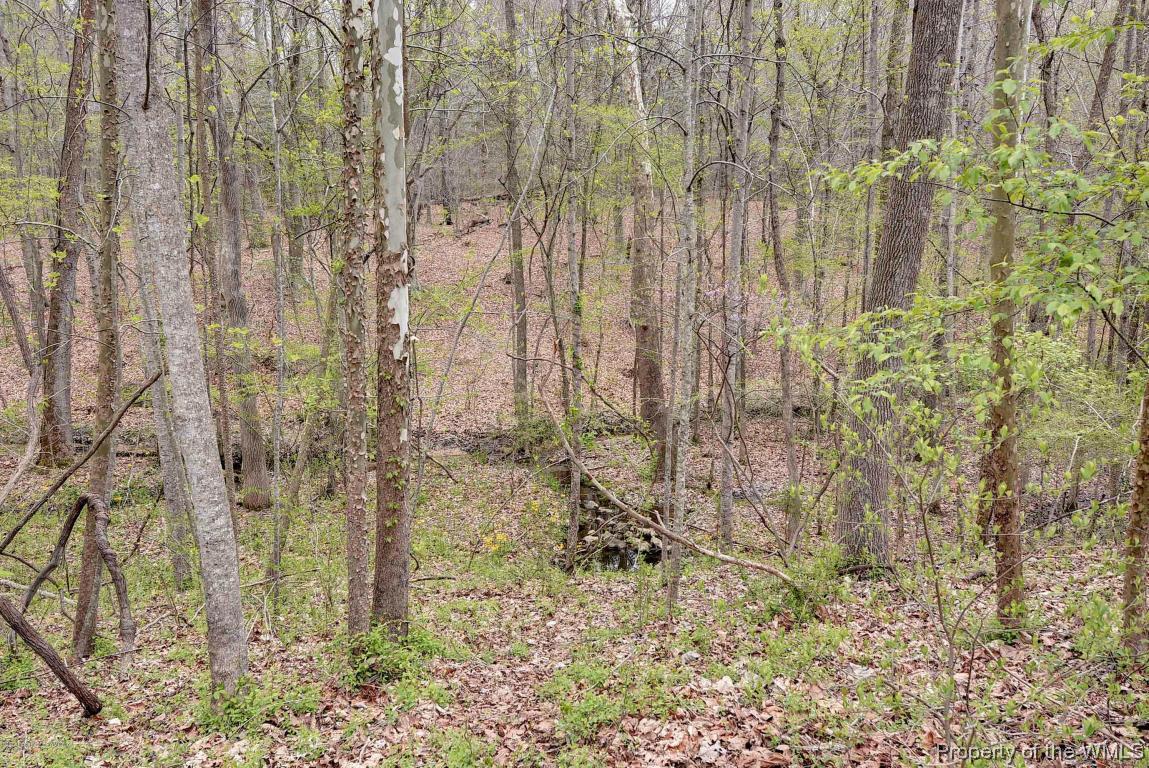 3656 Toano Wds Road Toano, VA 23168 - Photo 37 of 37 Gallery Image 37