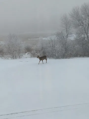 $659,000 | 27196 Co Highway 21, Detroit Lakes, MN 56501