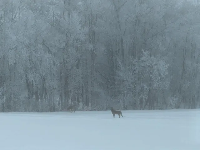 $659,000 | 27196 Co Highway 21, Detroit Lakes, MN 56501