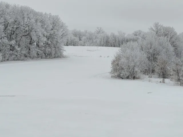 $659,000 | 27196 Co Highway 21, Detroit Lakes, MN 56501