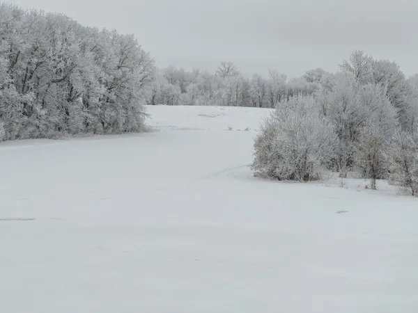 $659,000 | 27196 Co Highway 21, Detroit Lakes, MN 56501