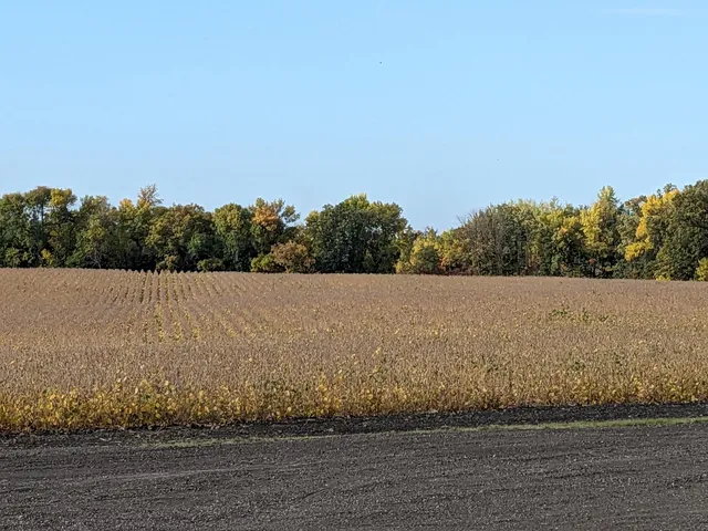 $659,000 | 27196 Co Highway 21, Detroit Lakes, MN 56501