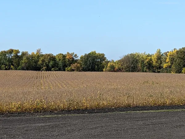 $659,000 | 27196 Co Highway 21, Detroit Lakes, MN 56501