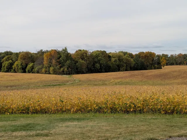 $659,000 | 27196 Co Highway 21, Detroit Lakes, MN 56501