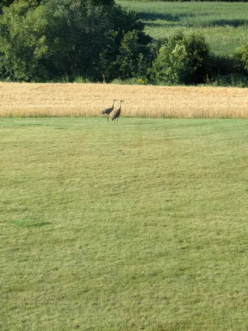 $659,000 | 27196 Co Highway 21, Detroit Lakes, MN 56501