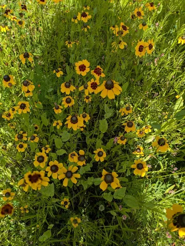 $659,000 | 27196 Co Highway 21, Detroit Lakes, MN 56501