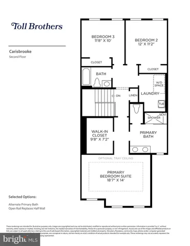 a view of outdoor space with garden and trees