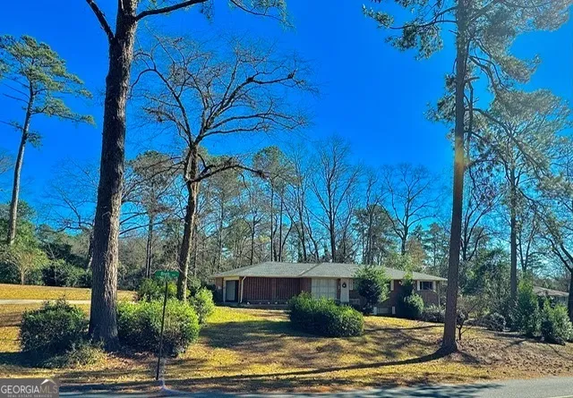 a view of a yard with palm tree