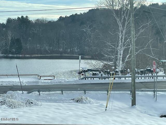 505 Sullivan Way Cambridge, NY 12816 - Photo 4 of 66 IMG_3976