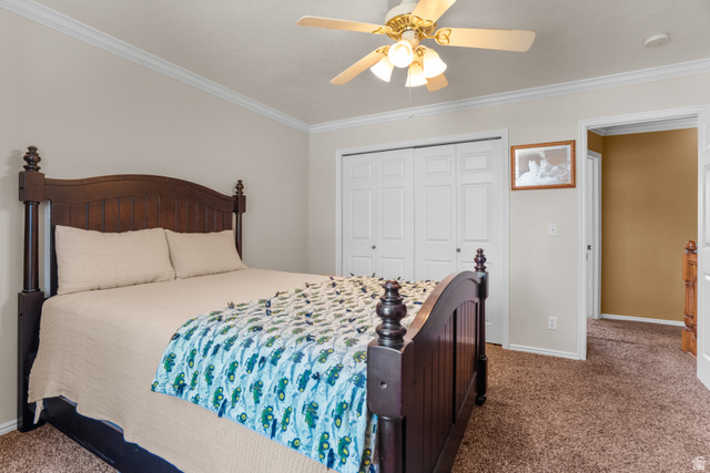 5727 South 3550th Street West Roy, UT 84067 - Photo 11 of 49 Carpeted bedroom featuring crown molding, a ceiling fan with light fixture, and white bi-fold closet doors