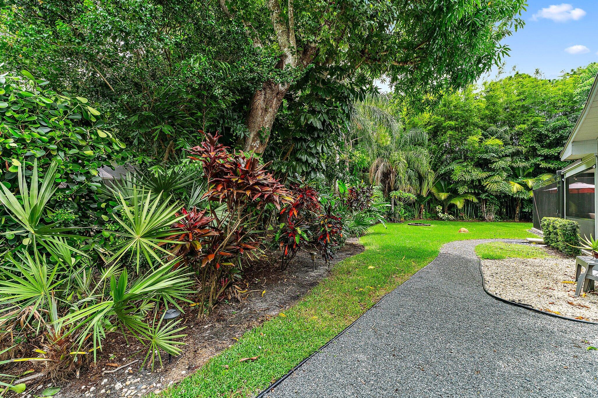 19546 Red Gum Trail Jupiter, FL 33458 - Photo 8 of 42 a view of a yard with plants and large trees