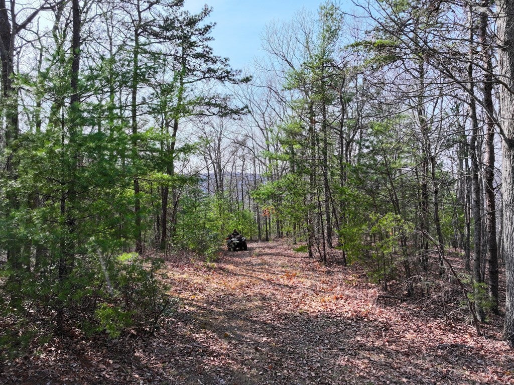 6184 North Ridge Lane Dublin, VA 24084 - Photo 28 of 59 Gallery Image 28