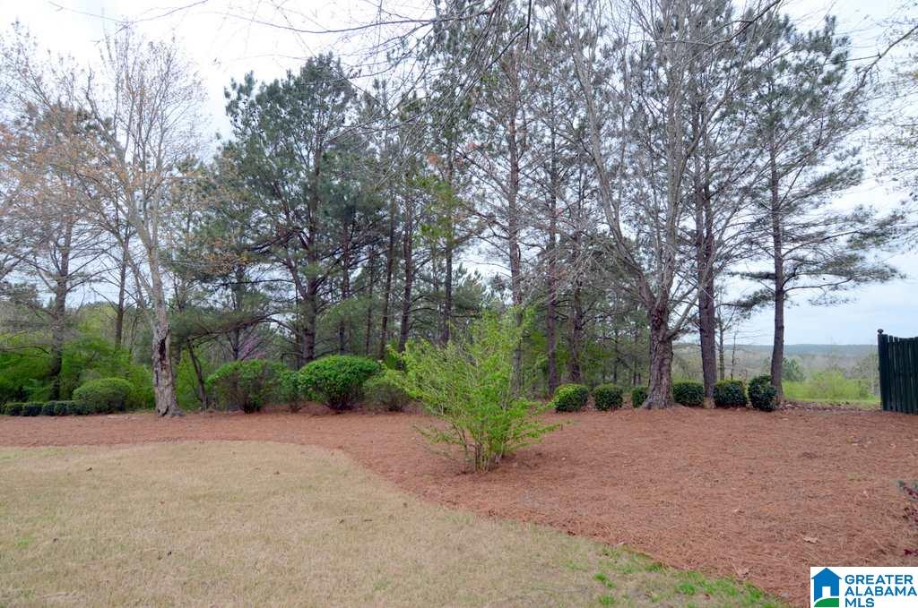 227 Grande View Parkway Alabaster, AL 35114 - Photo 37 of 49