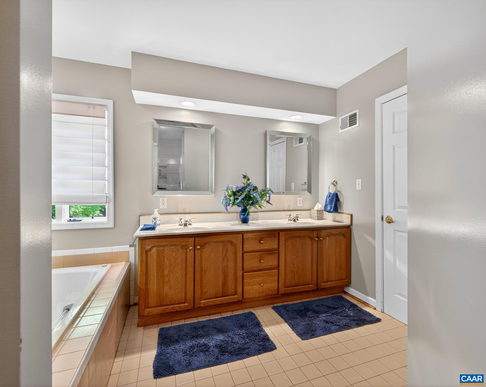 54 Amethyst Road Palmyra, VA 22963 - Photo 36 of 66 Tub. Walk-in Shower too!
