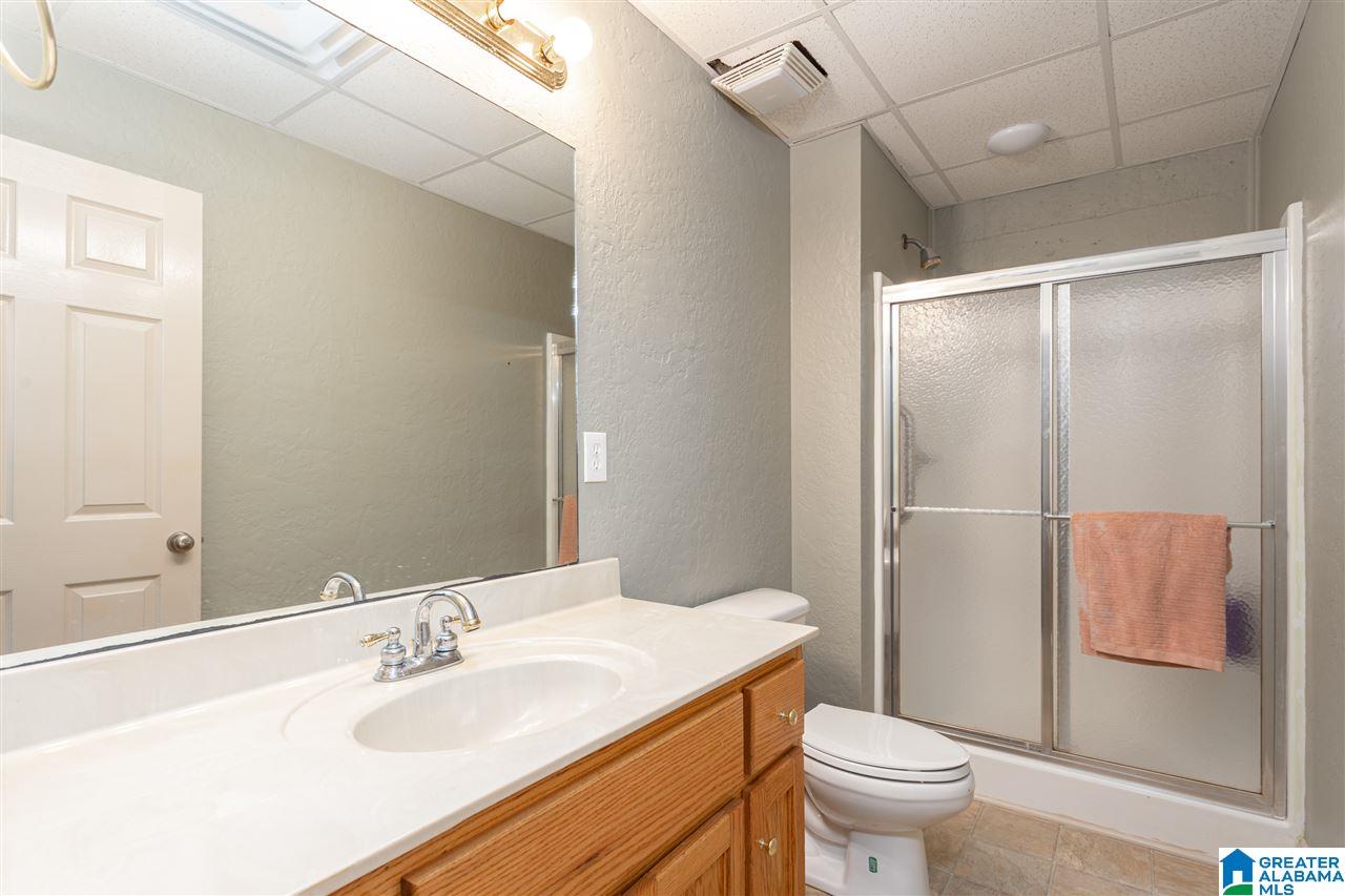 166 Mohawk Trail Ohatchee, AL 36271 - Photo 23 of 46