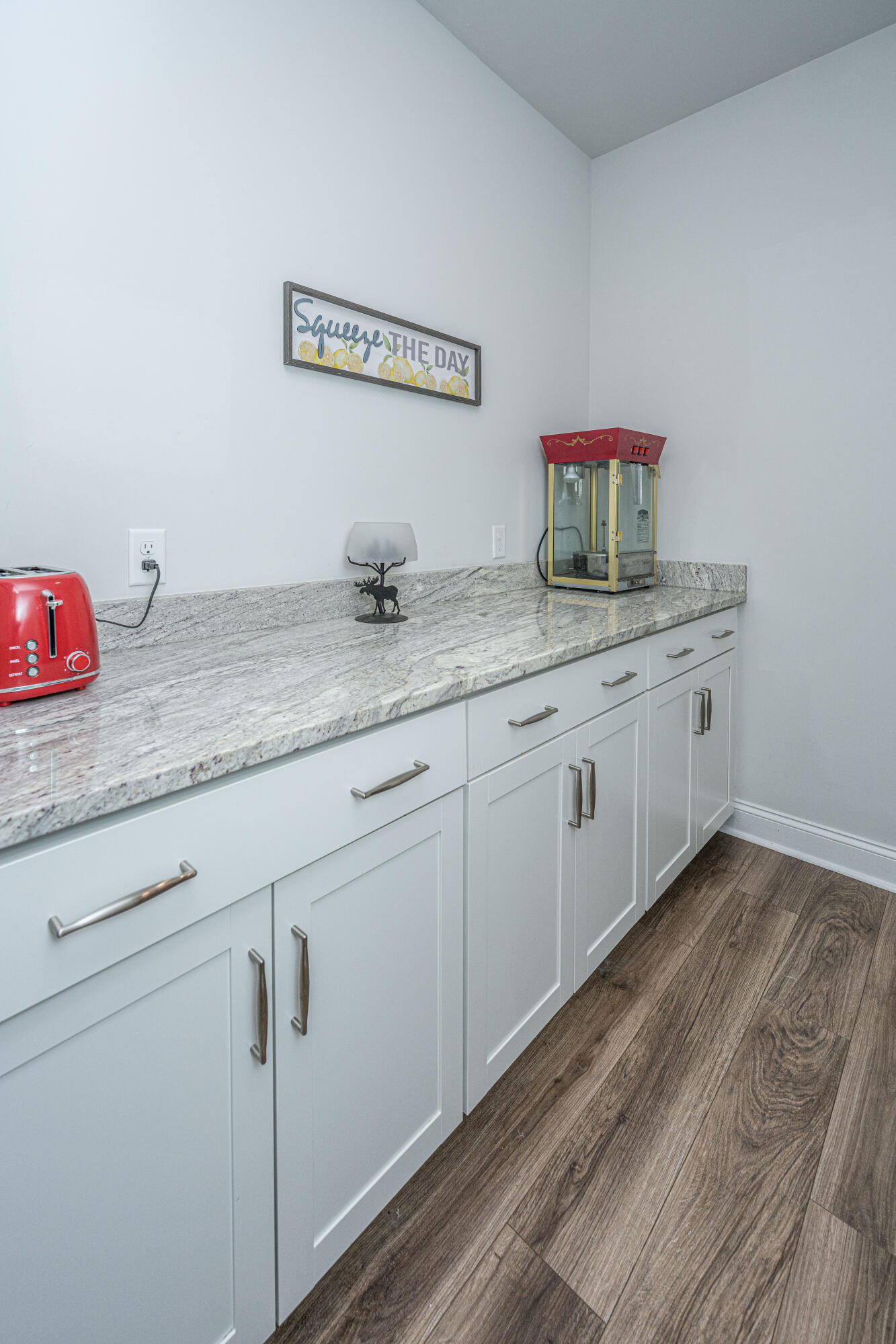 3013 Flat Rock Lane Ridgeville, SC 29472 - Photo 48 of 66 3013FlatRockLn048