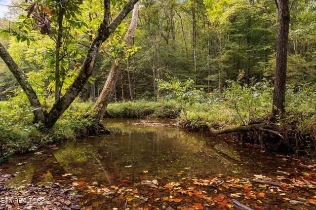 $4,500,000 | 9676 Heard Ridge Road, Monroe, TN 38573