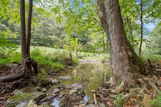 $4,500,000 | 9676 Heard Ridge Road, Monroe, TN 38573