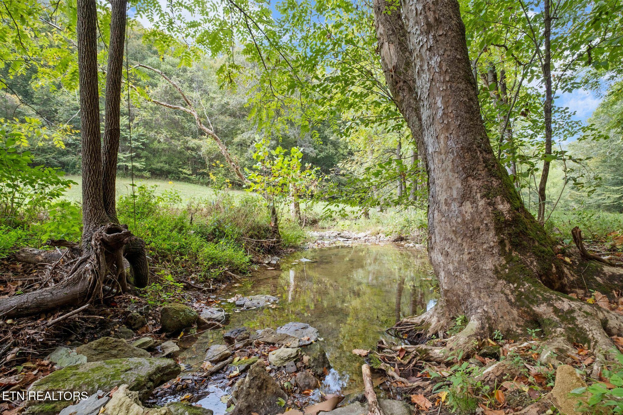9676 Heard Ridge Road Monroe, TN 38573 - Photo 56 of 59 Tranquil Streams