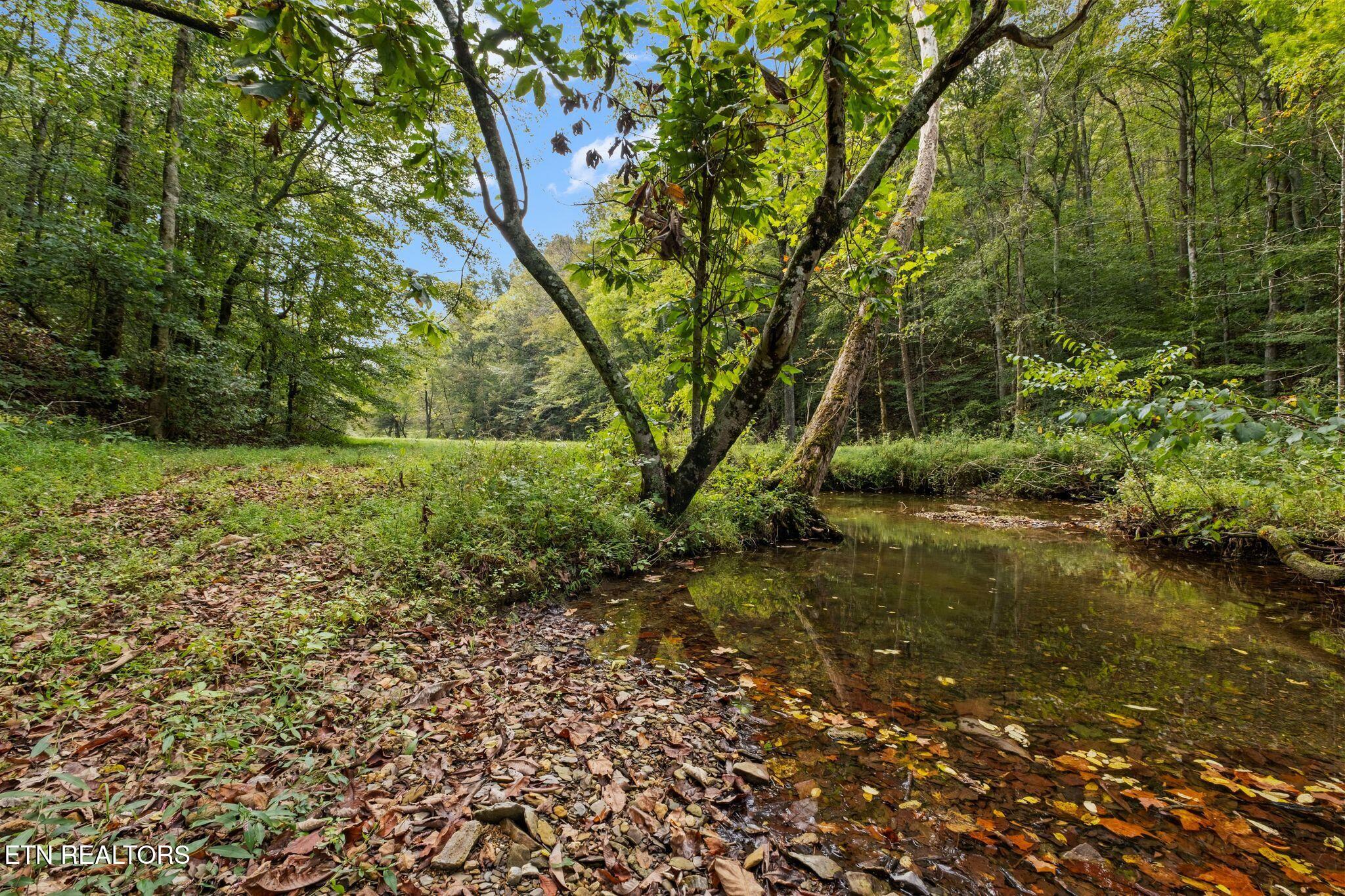 9676 Heard Ridge Road Monroe, TN 38573 - Photo 57 of 59 zh2509221-1101