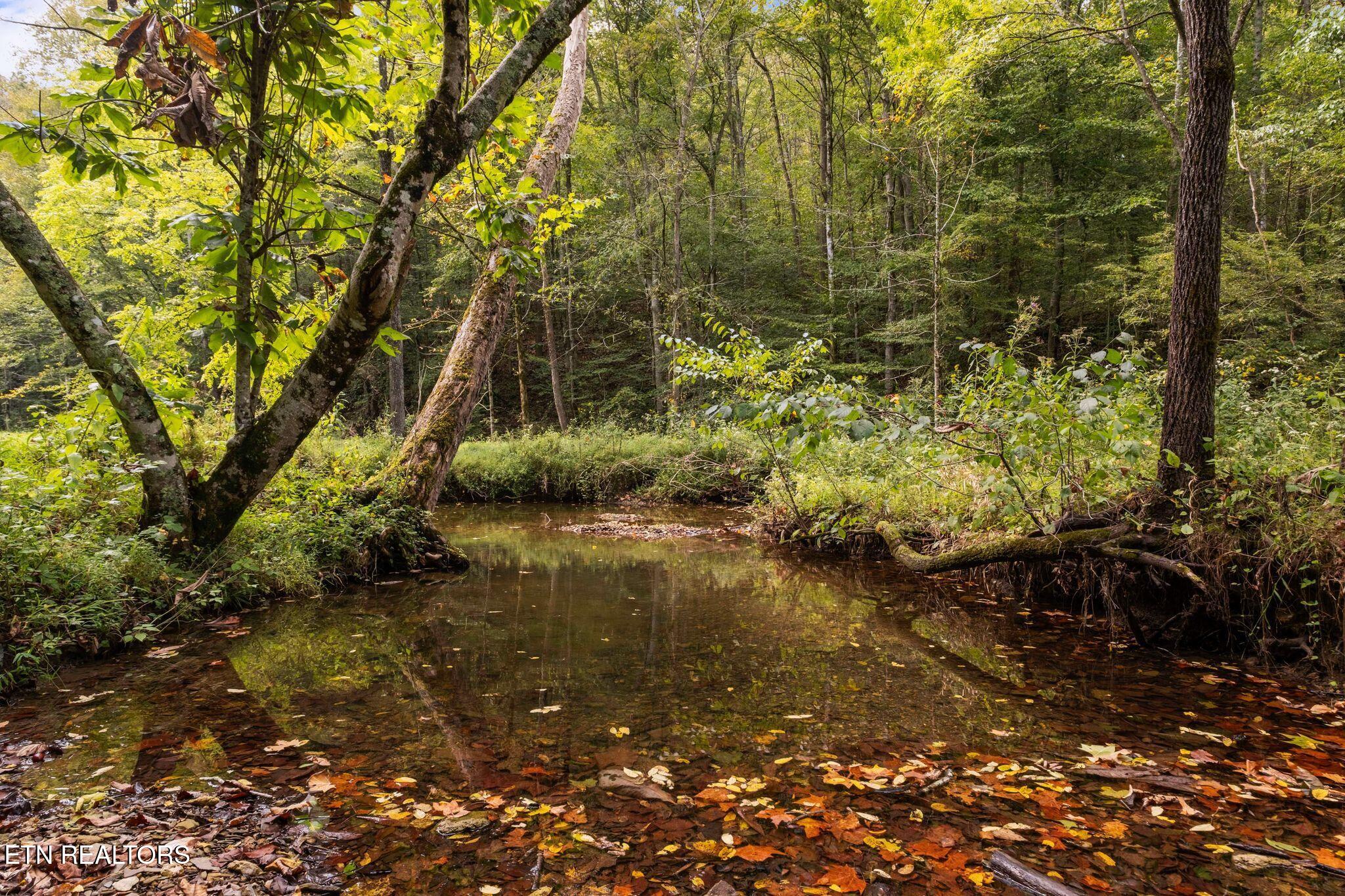 9676 Heard Ridge Road Monroe, TN 38573 - Photo 6 of 59 Ever-Flowing Creek