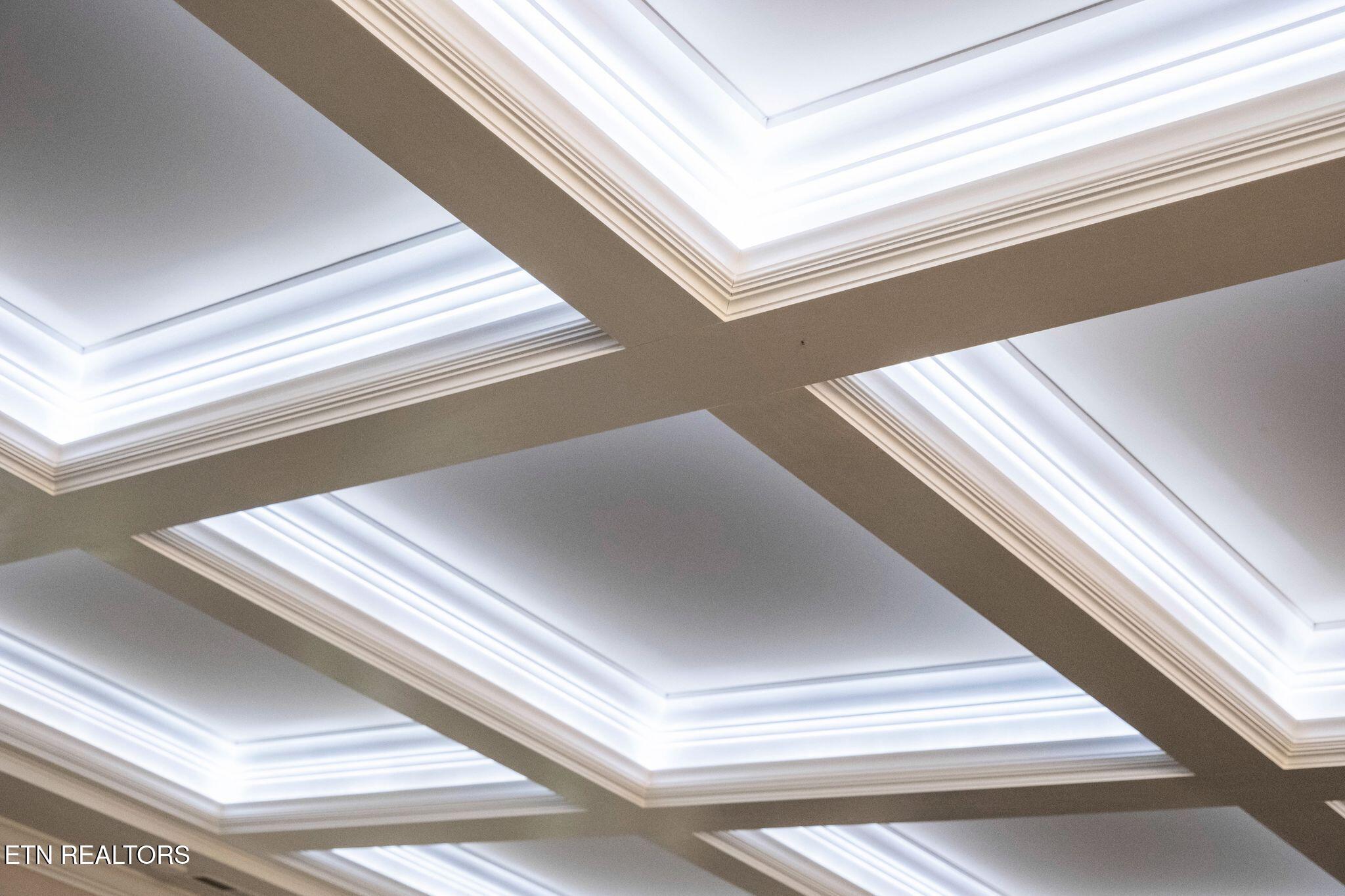 9676 Heard Ridge Road Monroe, TN 38573 - Photo 10 of 59 Lighted Coffered Ceiling