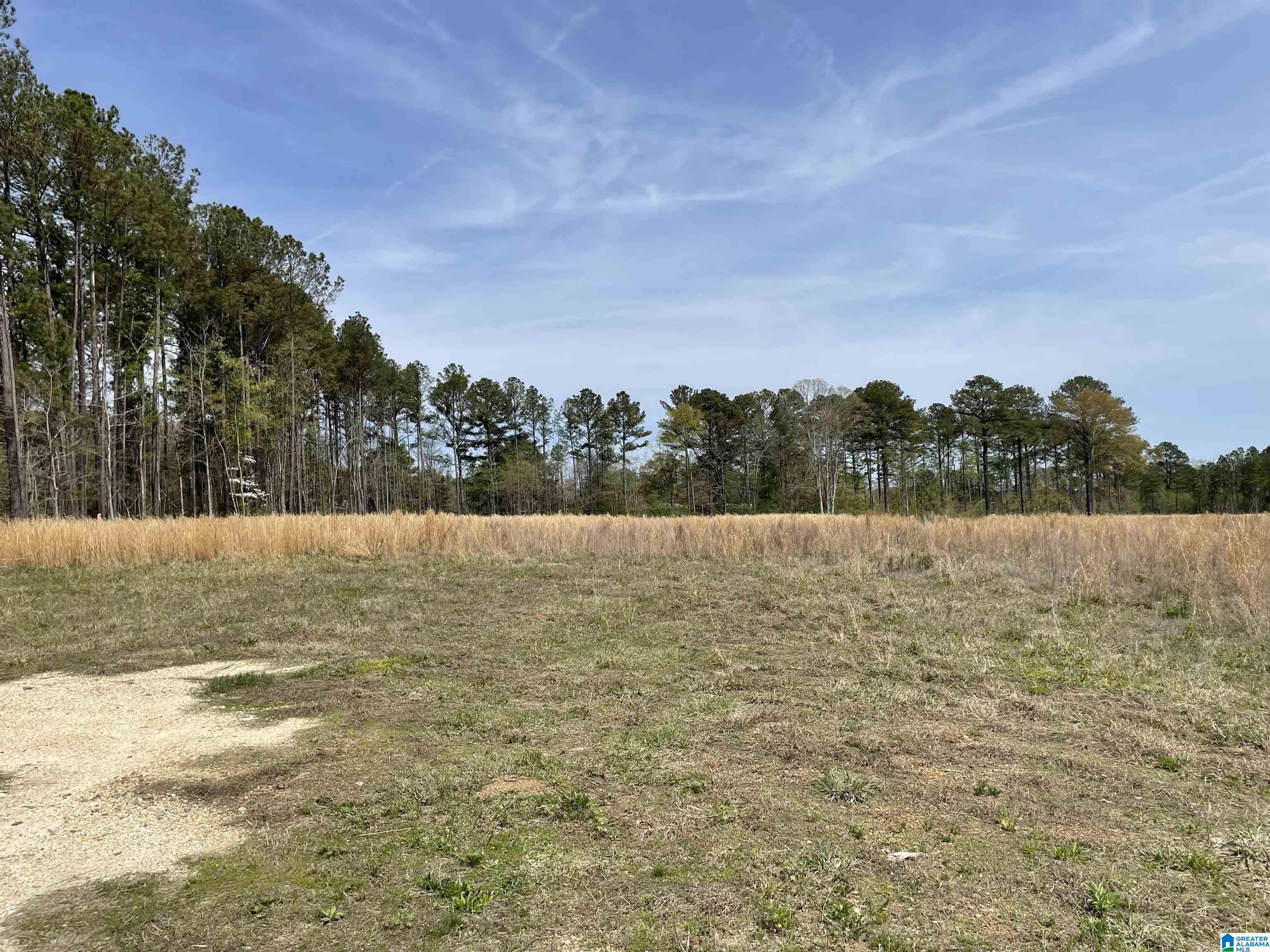 0 Greensport Road Ashville, AL 35953 - Photo 37 of 43