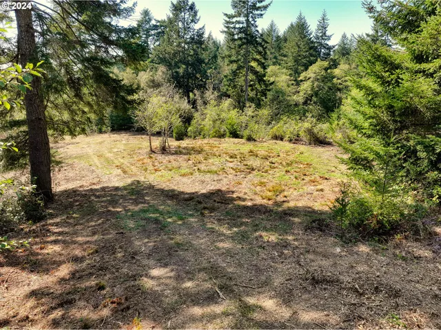 a view of yard covered with snow