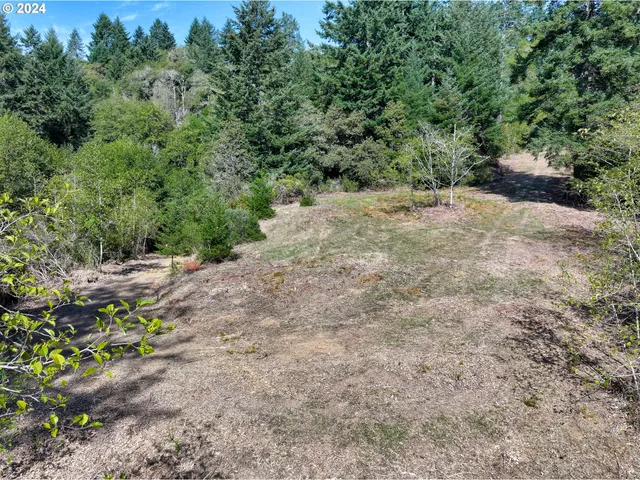 a view of a yard with a tree