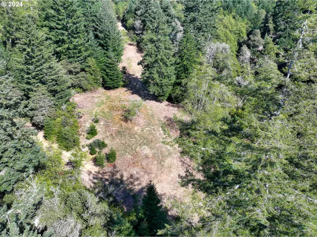 a view of a yard with plants